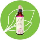 Bachblüte 24 Pine 20 ml