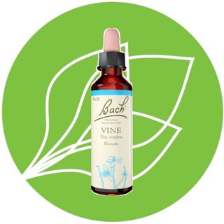 Bachblüte 32 Vine 20 ml