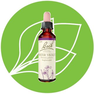 Bachblüte 34 Water Violet 20 ml