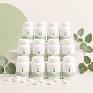Schüßler-Salz Set 1-12