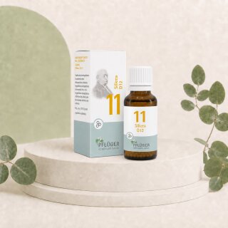Pflüger Biochemie nach Dr.Schüßler Nr.11 Globuli Silicea D12 (15g)