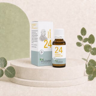 Pflüger Biochemie nach Dr.Schüßler Nr.24 Globuli Arsenum jodatum D12 (15g)
